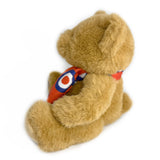 RAF Museum Bear With Roundel Scarf