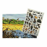 D-Day Beach Attack Transfer Pack