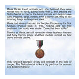 Animals With Awards - Rip The Amazing Rescue Dog