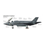 Lockheed Martin F-35 Lightning II aircraft page image.