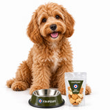 Co-Pilot Dog Treats And Dog Bowl Bundle
