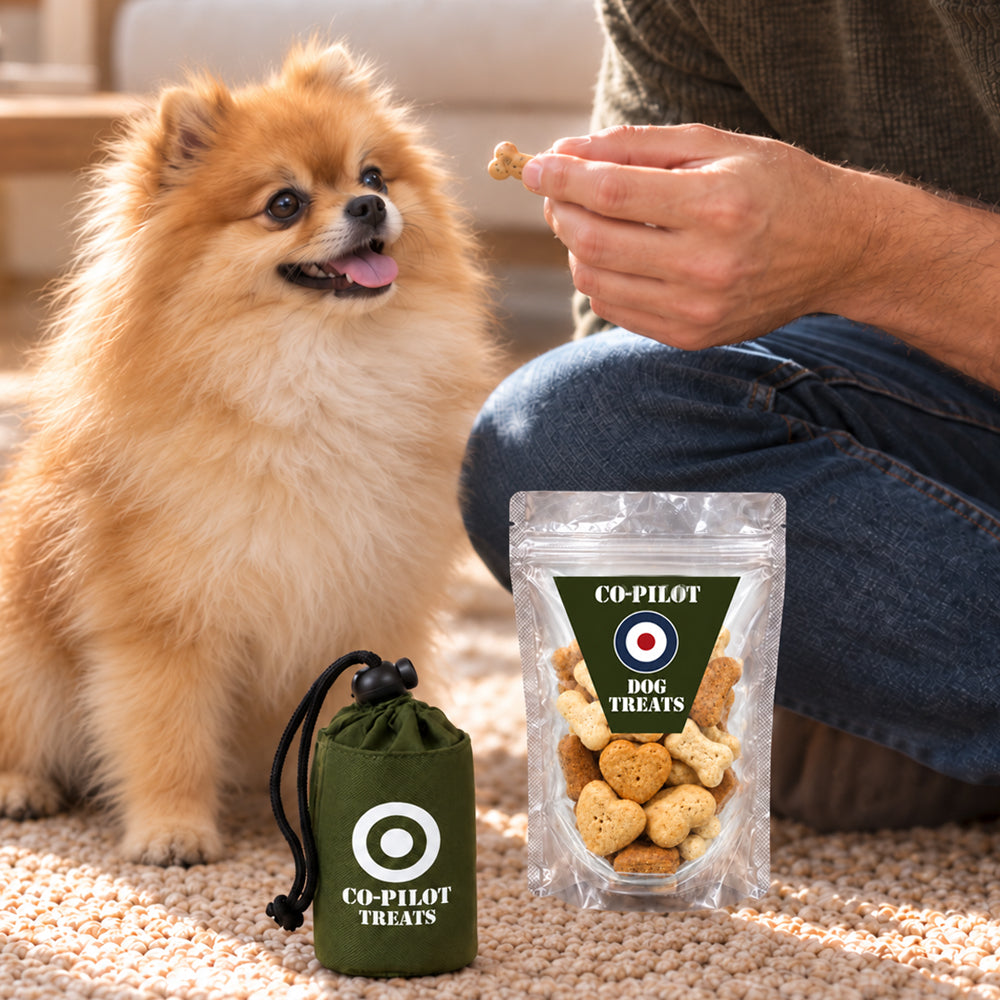 Co-Pilot Dog Treats And Treat Bag Bundle