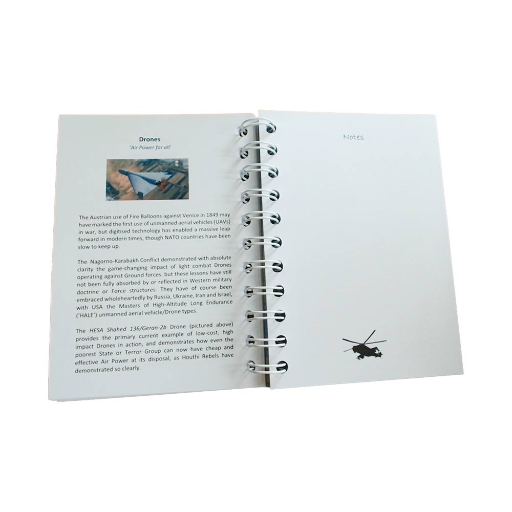 A 53 week 'Week to view' diary section with daily event dates drawn from RAF &amp; aviation history, with Week numbers and Notes and Reminders spaces.