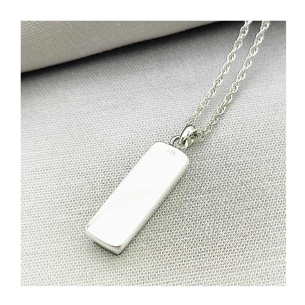 Back of Red Arrows Hawk rectangle pendant crafted from original section of the aircraft's rudder. On 18" Silver chain.