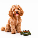 Co-Pilot Dog Bowl