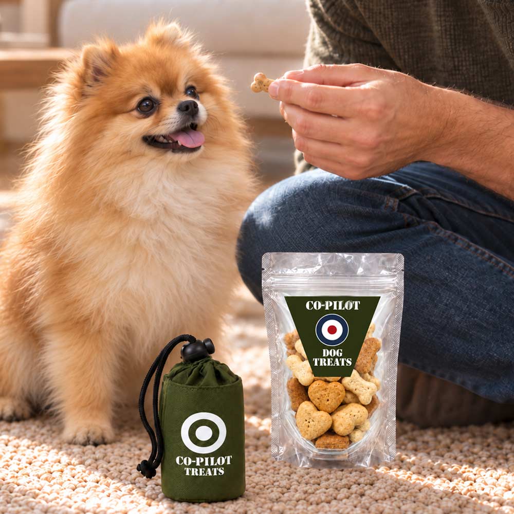 Co-Pilot Dog Treats