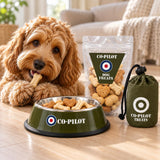 Co-Pilot Dog Bowl