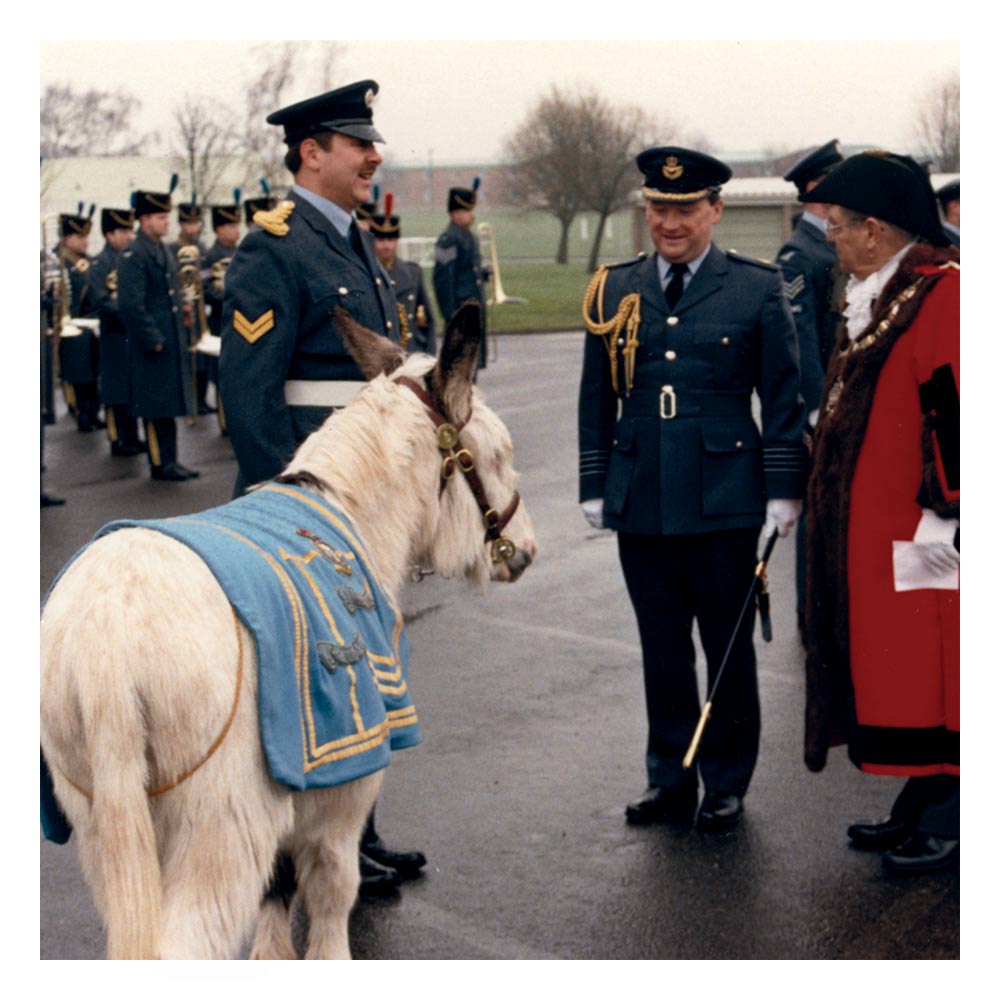 Donkey 'Sparky' McDougall Mascot