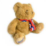 RAF Museum Bear With Roundel Scarf