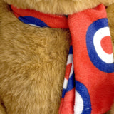 RAF Museum Bear With Roundel Scarf